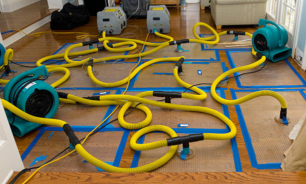 Professional Basement Flood Cleanup technician working in Freeport, PA